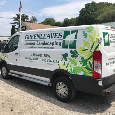 A Green Leaves Brand Printed Van in White